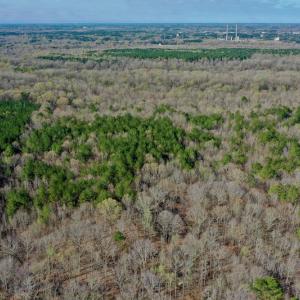 Photo #17 of SOLD property in OFF HWY 46, Garysburg, NC 138.8 acres