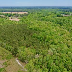 Photo #14 of SOLD property in off Windley Rd, Washington, NC 102.0 acres