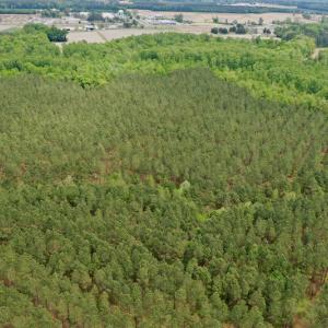 Photo #24 of SOLD property in off Windley Rd, Washington, NC 102.0 acres