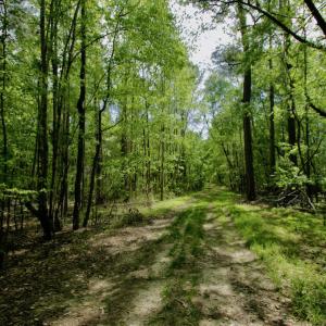 Photo #50 of SOLD property in off Windley Rd, Washington, NC 102.0 acres