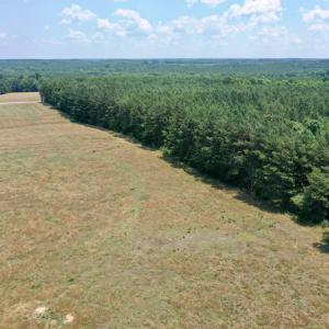 Photo #13 of SOLD property in 409 Doc Thompson Road, Macon, NC 75.3 acres