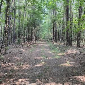 Photo #13 of SOLD property in Off Fletcher Chapel Road, Kenbridge, VA 76.0 acres