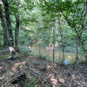 Photo #28 of SOLD property in Off Fletcher Chapel Road, Kenbridge, VA 76.0 acres