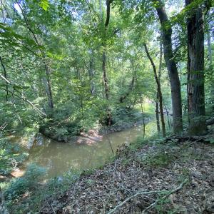 Photo #29 of SOLD property in Off Fletcher Chapel Road, Kenbridge, VA 76.0 acres