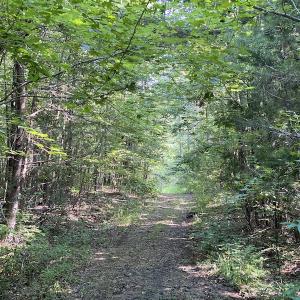 Photo #35 of SOLD property in Off Fletcher Chapel Road, Kenbridge, VA 76.0 acres