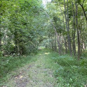 Photo #39 of SOLD property in Off Fletcher Chapel Road, Kenbridge, VA 76.0 acres