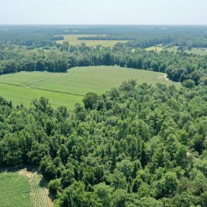 Photo #24 of SOLD property in Off Center Hill Road, Tyner, NC 56.8 acres