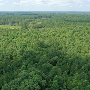 Photo #16 of SOLD property in Off Adcock Road, Enfield, NC 58.0 acres