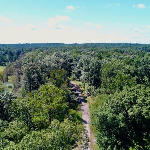 Photo #5 of SOLD property in 10431 Lake Royale Road, Spring Hope, NC 114.7 acres