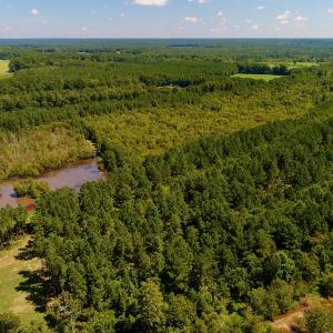 Photo #10 of SOLD property in 10431 Lake Royale Road, Spring Hope, NC 114.7 acres