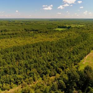 Photo #13 of SOLD property in 10431 Lake Royale Road, Spring Hope, NC 114.7 acres