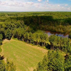 Photo #19 of SOLD property in 10431 Lake Royale Road, Spring Hope, NC 114.7 acres