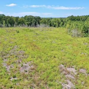 Photo #22 of SOLD property in Off Bolton Road, Rich Square, NC 12.5 acres
