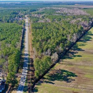 Photo #3 of SOLD property in Off Highway 304, Bayboro, NC 0.6 acres