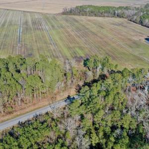 Photo #10 of SOLD property in Off Highway 304, Bayboro, NC 0.6 acres