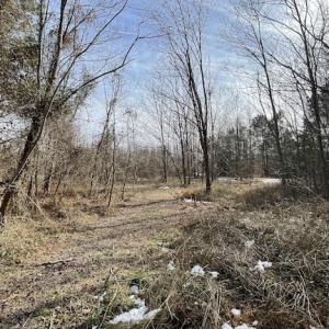 Photo #10 of SOLD property in Off Old Neck Road, Exmore, VA 3.7 acres