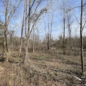 Photo #11 of SOLD property in Off Old Neck Road, Exmore, VA 3.7 acres