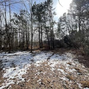 Photo #12 of SOLD property in Off Old Neck Road, Exmore, VA 3.7 acres