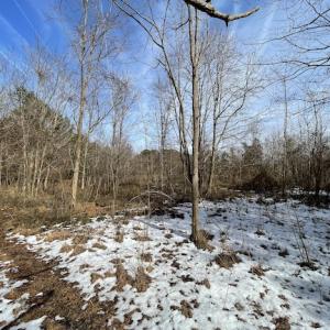 Photo #13 of SOLD property in Off Old Neck Road, Exmore, VA 3.7 acres