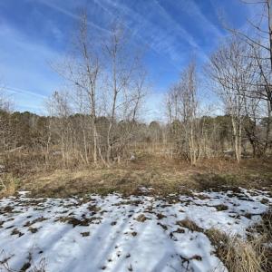 Photo #19 of SOLD property in Off Old Neck Road, Exmore, VA 3.7 acres