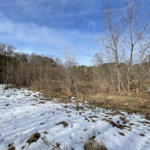 Photo #20 of SOLD property in Off Old Neck Road, Exmore, VA 3.7 acres