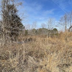 Photo #23 of SOLD property in Off Old Neck Road, Exmore, VA 3.7 acres
