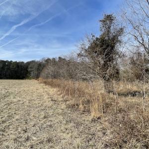 Photo #24 of SOLD property in Off Old Neck Road, Exmore, VA 3.7 acres