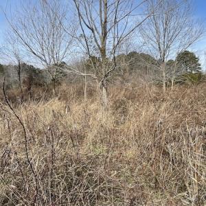 Photo #27 of SOLD property in Off Old Neck Road, Exmore, VA 3.7 acres
