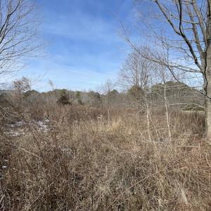 Photo #28 of SOLD property in Off Old Neck Road, Exmore, VA 3.7 acres