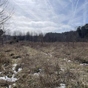 Photo #3 of SOLD property in Off Old Neck Road, Exmore, VA 3.7 acres