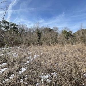 Photo #31 of SOLD property in Off Old Neck Road, Exmore, VA 3.7 acres