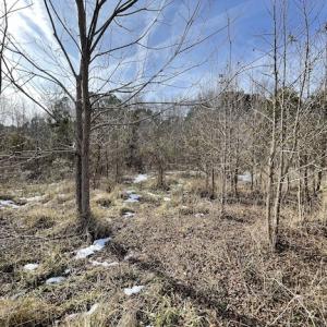Photo #32 of SOLD property in Off Old Neck Road, Exmore, VA 3.7 acres