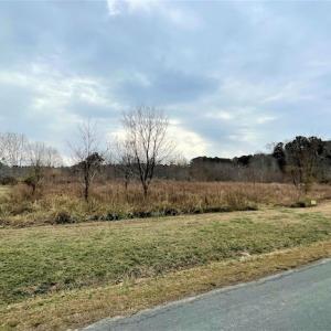 Photo #34 of SOLD property in Off Old Neck Road, Exmore, VA 3.7 acres