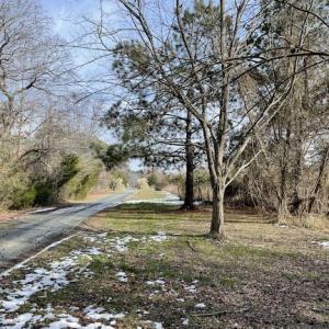 Photo #8 of SOLD property in Off Old Neck Road, Exmore, VA 3.7 acres