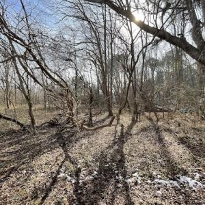 Photo #9 of SOLD property in Off Old Neck Road, Exmore, VA 3.7 acres