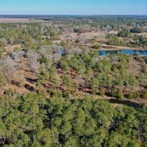 Photo #6 of SOLD property in Off Highway 304, Bayboro, NC 16.6 acres
