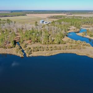 Photo #8 of SOLD property in Off Highway 304, Bayboro, NC 16.6 acres