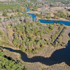 Photo #20 of SOLD property in Off Highway 304, Bayboro, NC 16.6 acres