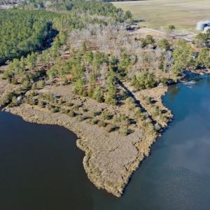 Photo #22 of SOLD property in Off Highway 304, Bayboro, NC 16.6 acres