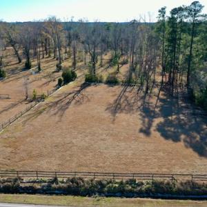 Photo #27 of SOLD property in Off Highway 304, Bayboro, NC 16.6 acres