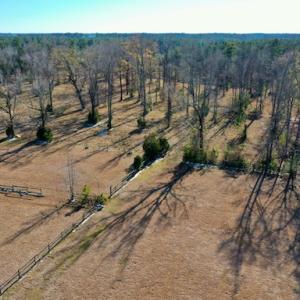 Photo #28 of SOLD property in Off Highway 304, Bayboro, NC 16.6 acres