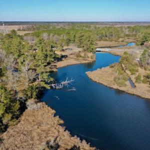 Photo #36 of SOLD property in Off Highway 304, Bayboro, NC 16.6 acres