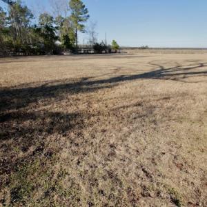 Photo #37 of SOLD property in Off Highway 304, Bayboro, NC 16.6 acres