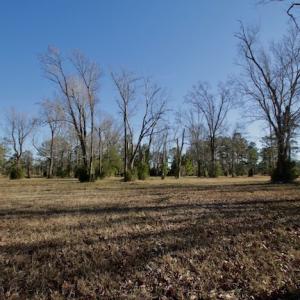 Photo #39 of SOLD property in Off Highway 304, Bayboro, NC 16.6 acres