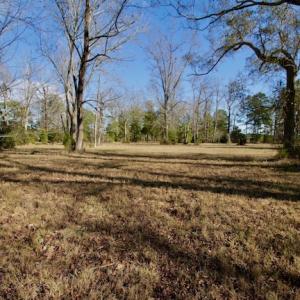Photo #41 of SOLD property in Off Highway 304, Bayboro, NC 16.6 acres