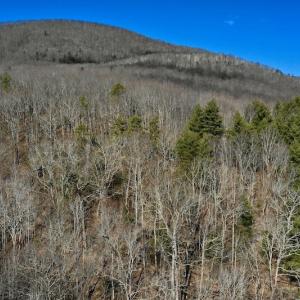 Photo #7 of SOLD property in 6903 Wolf Creek Hwy, Narrows, VA 107.2 acres