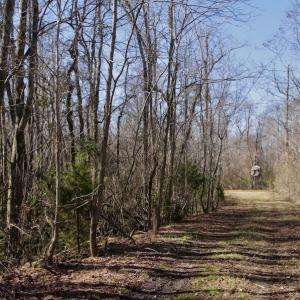 Photo #24 of SOLD property in Off Knobbs Creek Road, Elizabeth City, NC 611.0 acres