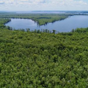 Photo #33 of SOLD property in Off Knobbs Creek Road, Elizabeth City, NC 611.0 acres