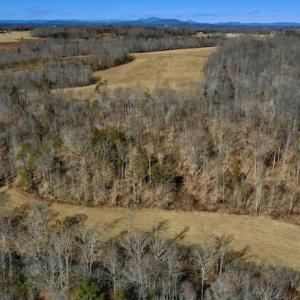 Photo #13 of SOLD property in Off Colonial Turnpike, Rocky Mount, VA 96.1 acres
