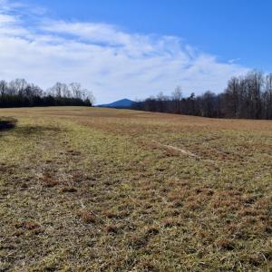 Photo #17 of SOLD property in Off Colonial Turnpike, Rocky Mount, VA 96.1 acres